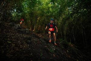 BIB: 
                            <button type="button" onclick="openModal(25099945)" class="btn btn-primary btn-sm float-right btn-popup" data-toggle="modal" data-target=".modal-high-quality">
                        <i class="fas fa-shopping-cart"></i> Add to Cart
                    </button>
                                            <button type="button" onclick="isThisMe(25099945, true)" class="btn btn-success btn-sm float-right btn-popup btn-isme hidden" data-toggle="tooltip" data-placement="bottom" title="นี่คือรูปของคุณใช่ไหม คลิกที่นี่เพื่อเอาเข้าอัลบั้ม">
                        <i class="fas fa-plus"></i> Add to album
                    </button>
                    <button type="button" onclick="isThisMe(25099945, false)" class="btn btn-warning btn-sm float-right btn-popup btn-isnotme hidden">
                        <i class="fas fa-ban"></i> Remove from album
                    </button>